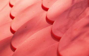 Ratten Row plastic roof costs